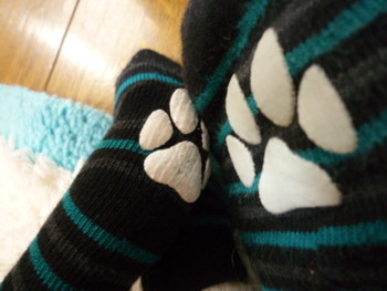 e0131506_2117428.jpg