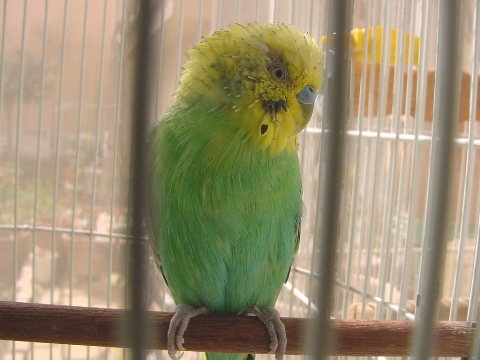 b0026408_201037.jpg