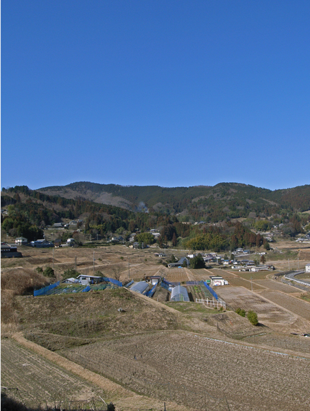 c0188008_13544059.jpg