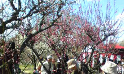 c0180209_1363257.jpg