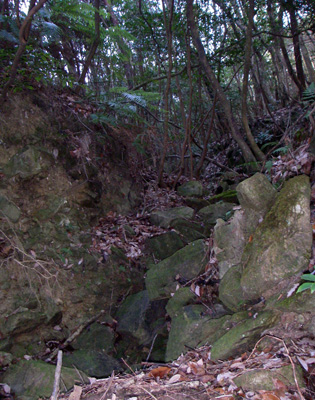 a0062810_1147473.jpg