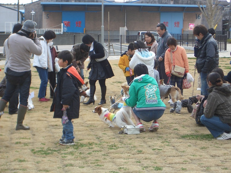 犬嫌いの私が、なぜここに?_f0141310_2243341.jpg