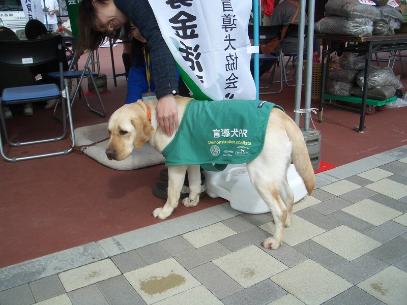 犬嫌いの私が、なぜここに?_f0141310_22442957.jpg
