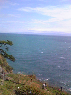 a0087111_4184628.jpg