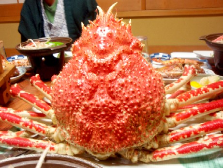 世界最大の蟹 タカアシガニを求めて伊豆へ その1 楽子の小さなことが楽しい毎日 世界最大の蟹 タカアシガニを求めて伊豆へ その1 楽子の小さなことが楽しい毎日