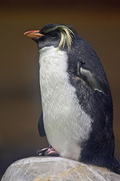 水族館_b0010915_20233222.jpg