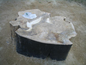 c0062315_22533291.jpg