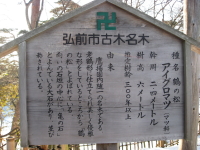 弘前公園の鶴と亀(弘前市)_b0147224_22712.jpg