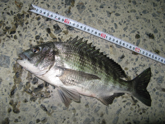 c0168626_20243570.jpg