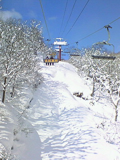 c0177527_16637.jpg