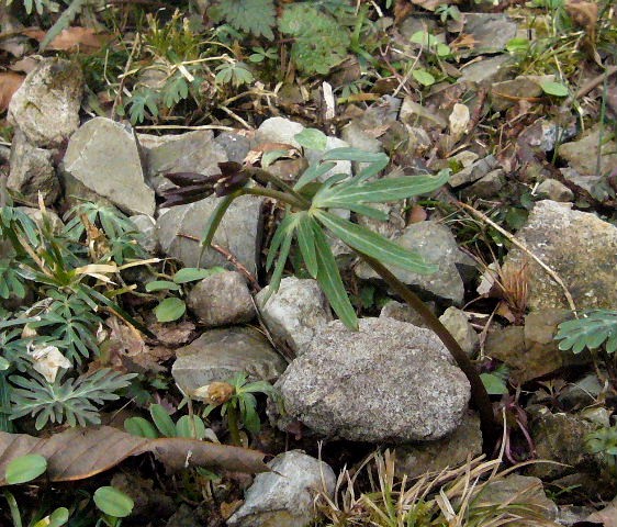 d0075131_23445720.jpg