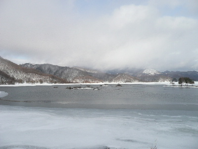 d0140133_12322347.jpg