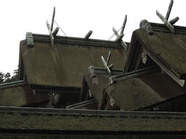 a0020434_15505940.jpg