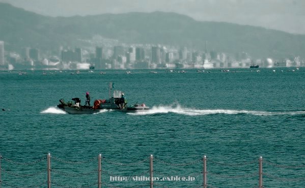e0011137_10507.jpg
