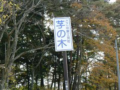 甲州街道検定?_f0019247_2312585.jpg