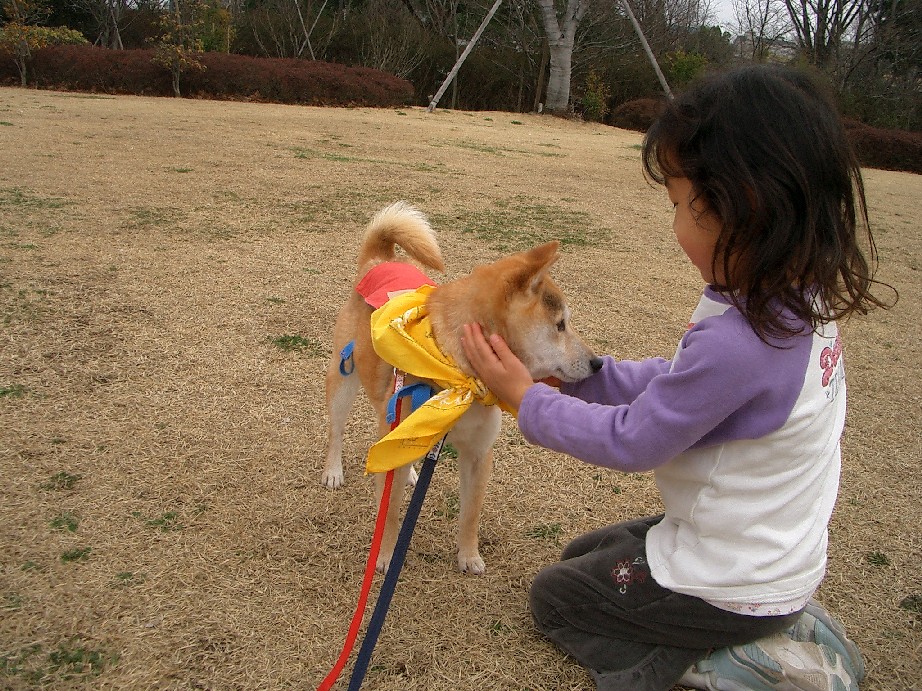 2009.3.1 多摩いぬ親会_d0038458_21335023.jpg