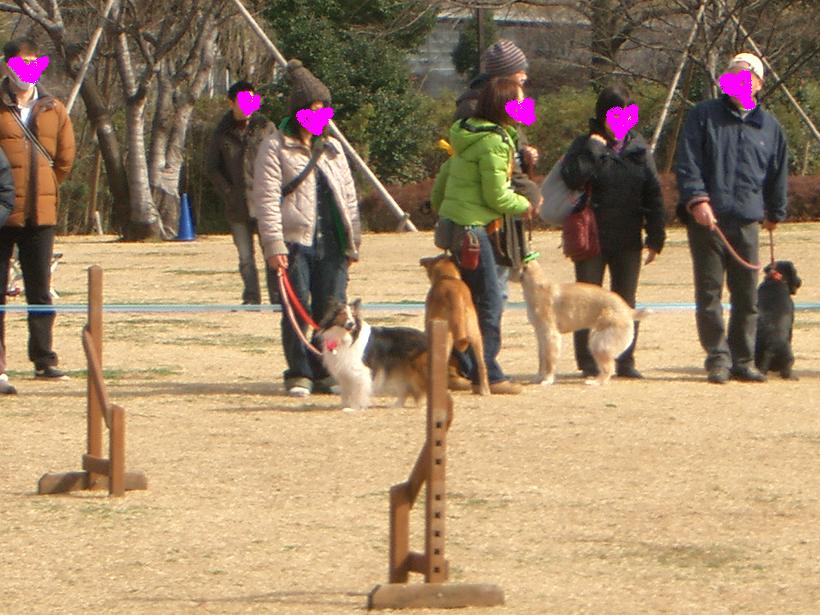 2009.3.1 多摩いぬ親会_d0038458_21385132.jpg