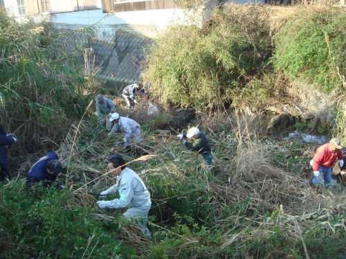 第3回「番川クリーンアップ作戦」_c0108460_1333656.jpg