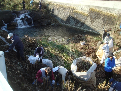 第3回「番川クリーンアップ作戦」_c0108460_1365634.jpg