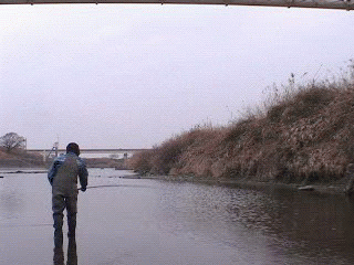f0084561_1304891.gif