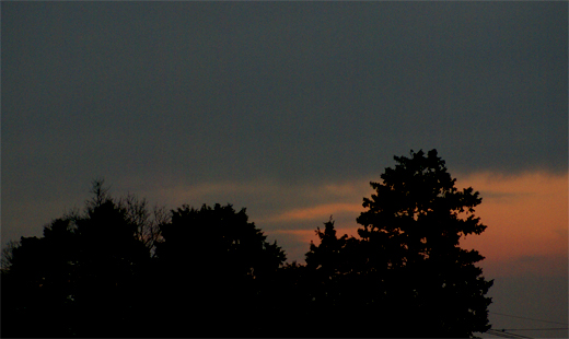 e0150566_23165577.jpg