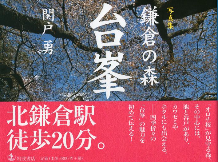 関戸勇さんが「写真集　鎌倉の森　台峯」を出版_c0014967_1017153.jpg