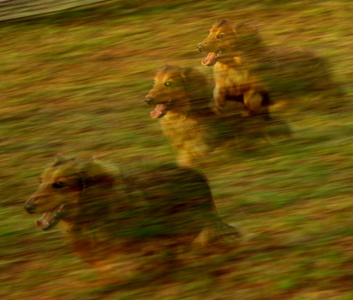 c0140281_21455455.jpg