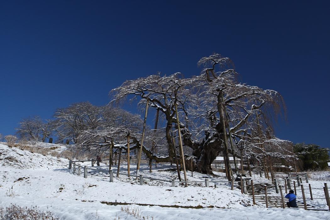 雪の華・・・滝桜　２００９年２月２８日_e0143883_16131030.jpg