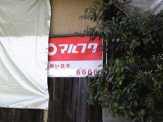 f0097493_853781.jpg