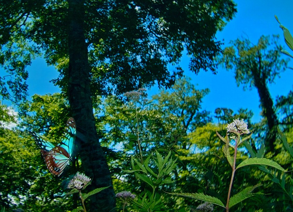 c0124795_20272953.jpg