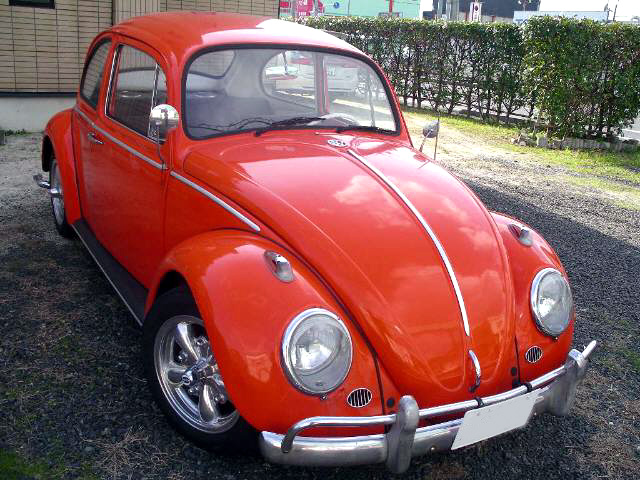 初代VW「ビートル」古いのに人気なぜ？ “カワイイ”だけじゃ