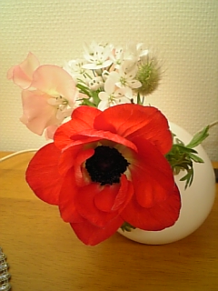 e0175702_0151534.jpg