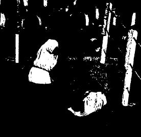 f0028703_1595791.jpg
