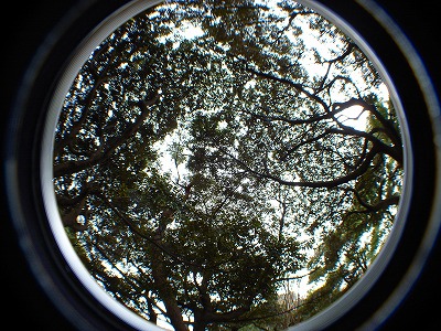 e0145805_21405134.jpg