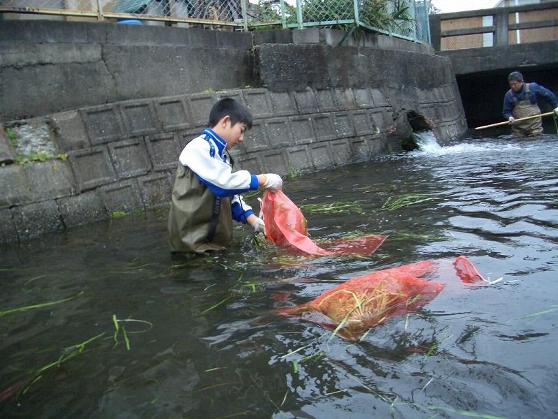 田宿川とパンドラの箱_f0141310_2335675.jpg