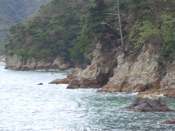 b0159611_20271729.gif