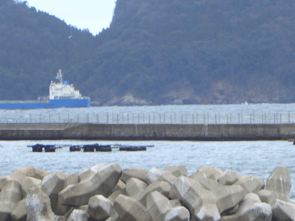 b0159611_20282852.gif