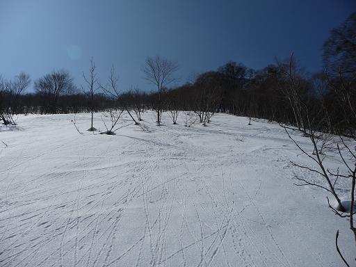 e0067218_838532.jpg