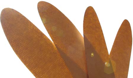 c0012819_21391499.jpg