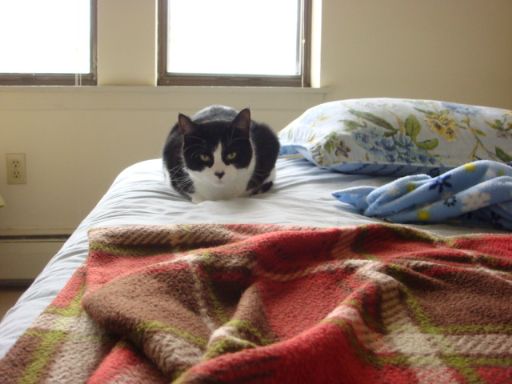 ボヤ騒ぎ_e0101819_1117311.jpg