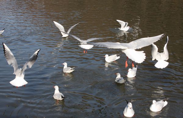 c0104227_825669.jpg