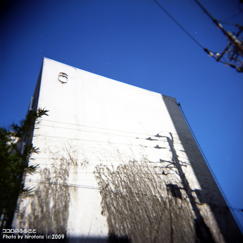 e0016732_23172792.jpg