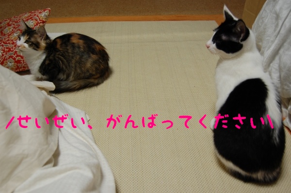 c0181639_0172043.jpg