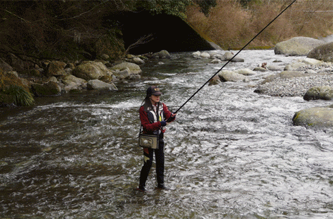 a0056140_22131068.gif