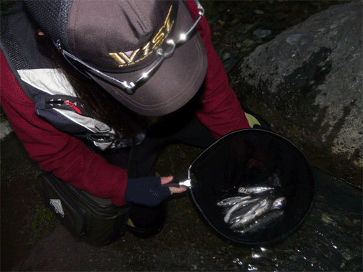 a0056140_2218362.gif