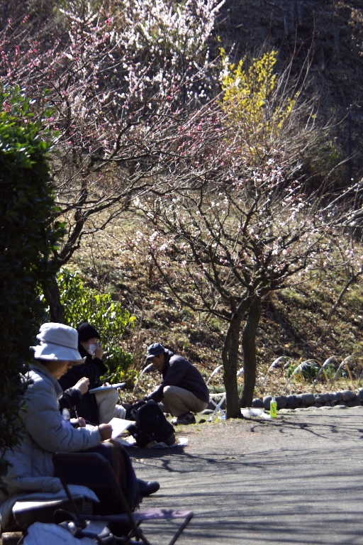 ひな祭り　　舞岡公園古民家_d0029744_236309.jpg