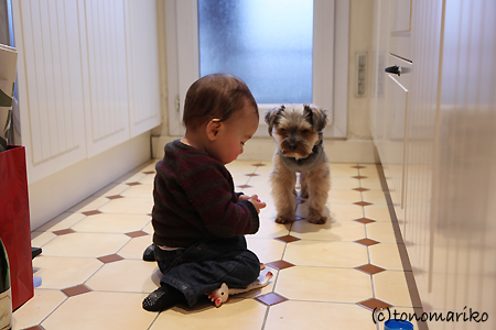 バブーの子守り_c0024345_2135238.jpg