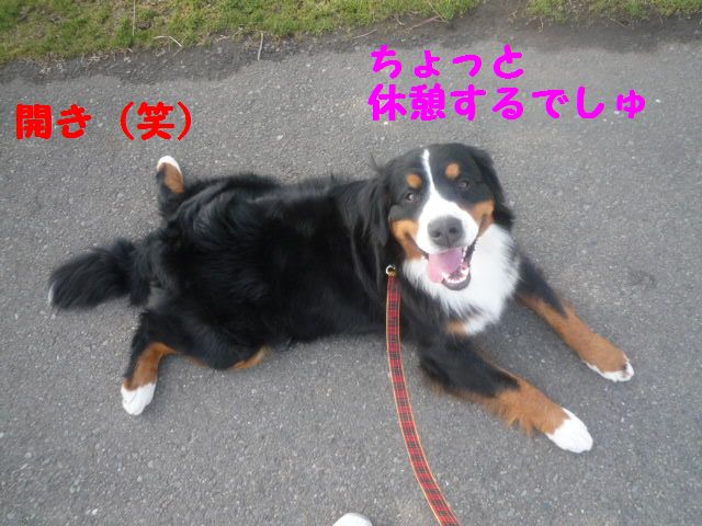 a0108146_17504840.jpg