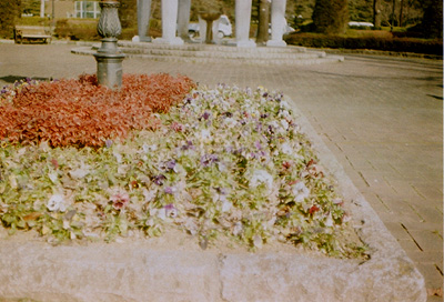 b0008655_21545129.jpg