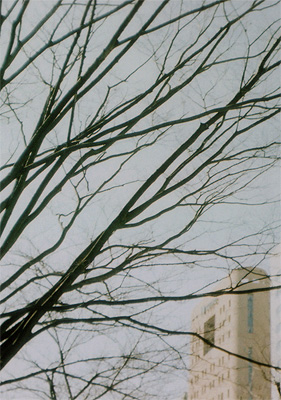 b0008655_21551128.jpg